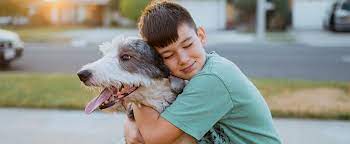 Allergy Shots Help With Pet Allergies Family Allergy