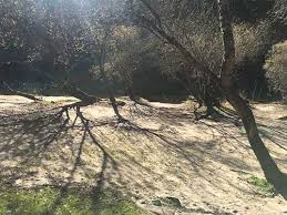 Transfer passadicos do paiva 12,25€. Roteiro De 1 Dia Nos Passadicos Do Paiva Arouca Geopark Visit Arouca