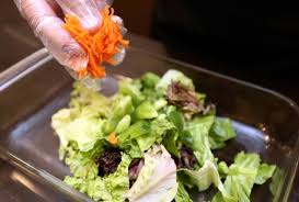 Check spelling or type a new query. Salad Sayur Dan Buah Kawal Berat Badan