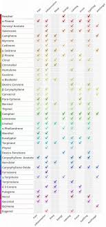 terpene physical effects chart 420 life best enail