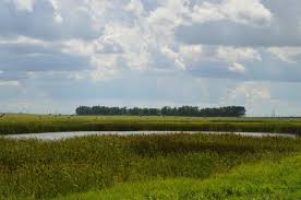 In 1877 western canada, a police inspector revolts against his inept commander, taking a. Auslandaufenthalt In Saskatchewan Kanada Agrimpuls Schweizer Bauernverband