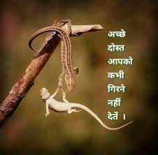 Best Quotes Funny Friendship Dr Who Ideas Friendship Quotes Funny Hand Quotes Hindi Quotes Images