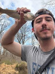 Lovley perch from behined LIDL