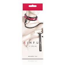 Adjustable Collar & Leash 🐾 | Bondage & Fetish Toys – ToyHubUSA