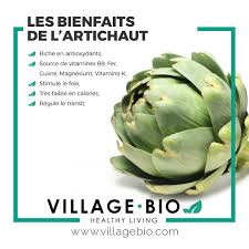 Les Bienfaits De L Artichaut Aliments Bons Pour La Sante Alimentation Et Sante Nutrition
