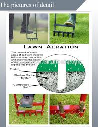 New and used items, cars, real estate, jobs, services, vacation rentals and more virtually anywhere in ontario. Lawn Aerator Garden Lawn Care Grass Care Lawn Spike 5 Prong Buy Lawn Spike Aerator Lawn Aerator Garden Lawn Care Grass Care Lawn Spike 5 Prong Manual Lawn Aerator Product On Alibaba Com