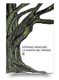 Vivaio mondo piante | vendita piante online per casa e giardino. La Pianta Del Mondo If Creative Hub La Pianta Del Mondo