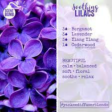 Soothing Lilacs Diffuser Blend Floral Essential Oils Essential Oils Aromatherapy Lilac Essential Oil