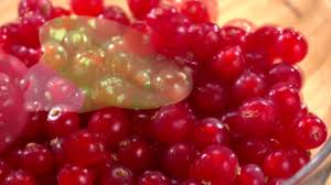 Extracteur De Jus De Fruits Et Legumes A Vapeur Youtube