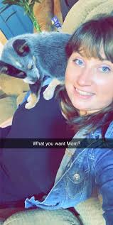 How many people own a Blue Heeler?