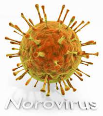 Hallo, mein sohn hatte damals auch so einen rötlich bräunlichen schleim im stuhl gehabt. Norovirus Haufiger Erreger Von Gastroenteritis