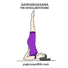 Pin On Yoga
