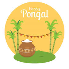 Pongal marks joy and cheer and brings along everything that's best. Qnnfnt6j V66sm