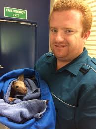 Queensland Ambulance Service (QAS)