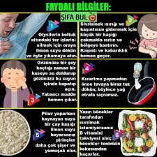 1 121 Begenme 10 Yorum Instagram Da Sifa Bul Sifabulun Faydali Bilgiler Sifabul 1 Giysilerin Koltuk Altindaki Ter Izlerini Silme In 2020 Blog Tumblr Account