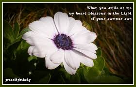Check spelling or type a new query. Flowers Page 2 Nature Photo Poems