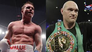 The original language and culture of the canelo are poorly documented, because the canelo were among the first amazonian indians to embrace christianity. Canelo Alvarez And Tyson Fury Named Among Wbc S Boxers Of The Year For 2020 Marca