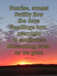 I was afraid this had already been mentioned, but i think i'll be the first so i guess the song is less about a literal sunset than it is a metaphor for the passage of time and gro. Finding Joy In Every Season Biblical Encouragement For All Sunrise Sunset Lyrics Sunset Lyrics Sunrise