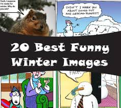 You may find here lots of interesting and funny winter status which you can use to cherish this great. 20 Best Winter Humor Images