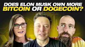 What Elon Musk Jack Dorsey Cathie Wood Just Said About Bitcoin Ep 390 Youtube