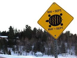 Road Sign Turtle Crossing At The Ottawa River 282 Ottawa River Turtle Love Turtle Care