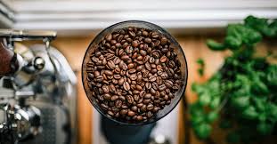 Another benefit of folate, which is found in such high levels within black beans, is its role in protecting infants in the womb. Are There Benefits To Coffee In Your Hair