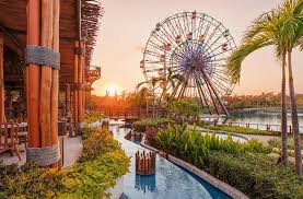 Image result for Oldenlandia verrucitesta