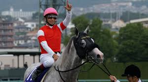 ゴールドシップ 成績 レース映像 第53回 2012年 オルフェーヴル 成績 レース映像 第52回 2011年 アーネストリー 成績 第51回. 502r K29l At M