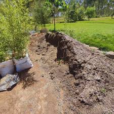 Organic Fertilizer