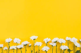 Trendy wall paper iphone tumblr aesthetic dark 16 ideas. Yellow Aesthetic Wallpaper Desktop Yellow Aesthetic Wallpaper Aesthetic Desktop Wallpaper Wallpaper Notebook Flower Backgrounds