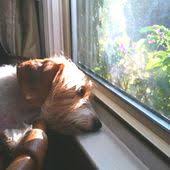 101 gooseberry lane, demorest ga 30523. Ata Family Pest Solutions Atafamilypest Profile Pinterest