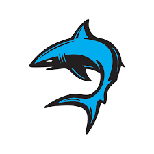 Bull sharks are large and stout, with females being larger than males. Printed Vinyl Cartoon Shark Swimming Stickers Factory