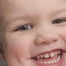 Fundraiser for Dyanna Engle by Kelly Engle : Services for the sudden loss  of Valentine