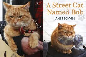 bob the cat made famous by a street cat named bob book dies aged 14 cat names street cat bob cats