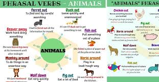 What are some descriptive words for animals? 20 Useful Animals Phrasal Verbs In English 7esl