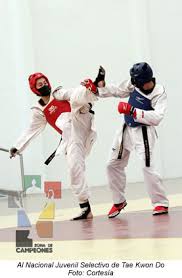 Onofre, a maría del rosario y a guillermo pérez. Tae Kwon Do