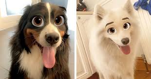Fiverr freelancer will provide cartoons & comics services and draw your pet as a disney character including figures within 5 days. This Disney Filter On Snapchat Turns Your Dog Into A Cartoon Character