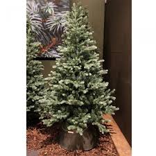 We did not find results for: Sapin Artificiel De Noel Geneva H150 Cm Vert Sapin Sapin Et Arbre Artificiel Eminza