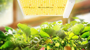 Check spelling or type a new query. The Best Grow Lights On Amazon Robb Report