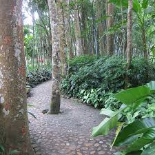 萬寧市10 大最佳旅遊景點(2026) - Tripadvisor