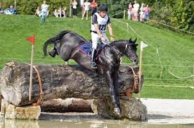 Was sich hinter dem begriff vielseitigkeitsreiten verbirgt und was man mitbringen muss, um in typisch sind hindernisse aus baumstämmen, ablenkende dekoration, ritte durch flaches wasser. Lokalsport Ein Restrisiko Bleibt Regional Frankenpost