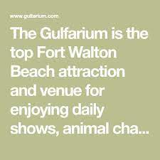 The Gulfarium Is The Top Fort Walton Beach Attraction And Venue For Enjoying Daily Shows Animal Chats Animal Exhibits Adventure Park Marine Fort Walton Beach