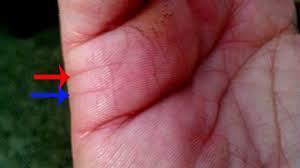 Divorce line in female hand in urdu. Palmistry These Lines Indicate Divorce And Marriage The State