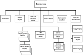 The Organizational Structure Of The Chemical Brigade At Army
