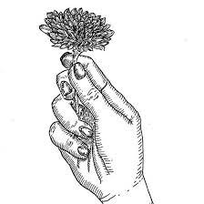 Hand holding flower drawing reference. Hand Holding Flower Hands Holding Flowers Flower Drawing Tutorials Hand Holding Something