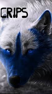 Maybe you would like to learn more about one of these? Crips Wallpaper Kolpaper Awesome Free Hd Wallpapers
