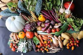 What can i plant in my vegetable garden in october. Sowing Timeline For Vegetables Charles Dowding