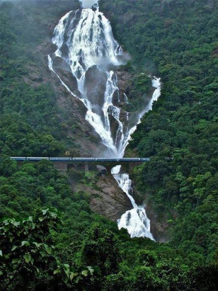 Dudhsagar Waterfalls inside Bhagwan Mahavir Wildlife Sanctuary