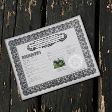 Pet industry is predominantly defined by large commercial dog breeding facilities, also known as puppy mills. Adba Purebred Dog Registration American Pit Bull Terrier Registration