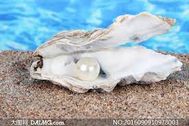 沙灘蚌殼裏的珍珠特寫攝影高清圖片_大圖網圖片素材